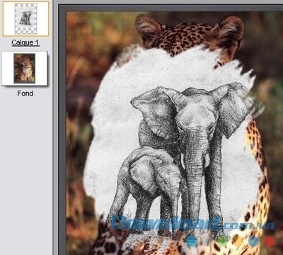 Chế độ RGBA của PhotoFiltre 7