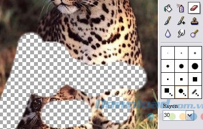 Tích hợp nhiều công cụ sửa ảnh mạnh mẽ