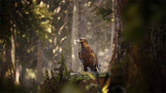 Điều chỉnh zoom, khẩu độ, căn góc... để có những bức ảnh đẹp xuất thần trong Photography Simulator game