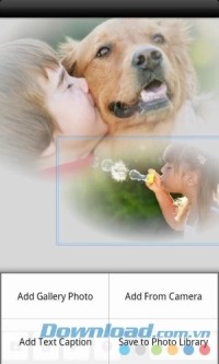 Bảng công cụ PhotoTangler Collage Maker cho Android