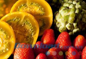 Một hình ảnh mẫu chỉnh sửa bằng PhotoZoom Classic