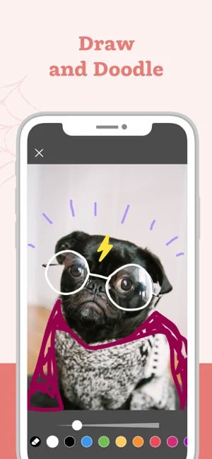 Trang trí ảnh bằng sticker đa dạng