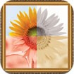 Pic-Frames Lite for iOS - Phần mềm chỉnh sửa ảnh iPhone