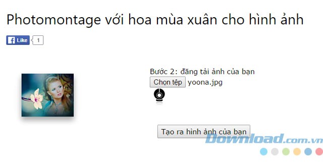 Nhập ảnh cá nhân lên máy chủ PicJoke