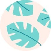 PicMonkey có sẵn nhiều hình dạng