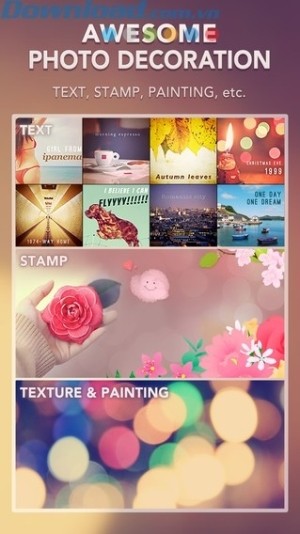 trang trí ảnh tuyệt vời