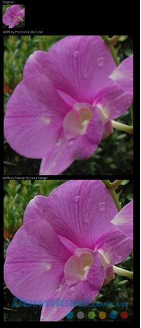 Picture Enlarger giữ được độ nét của ảnh so với công nghệ truyền thống