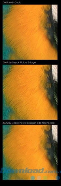 Thêm texture cho hịnh ảnh sau khi thay đổi kích thước