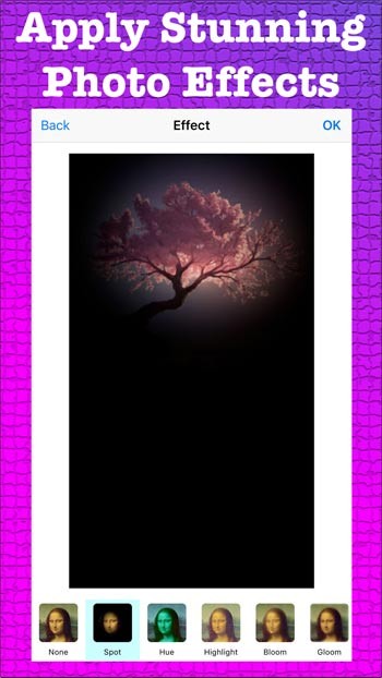 Áp dụng nhiều bộ lọc ảnh tuyệt đẹp