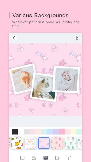 Background đa dạng