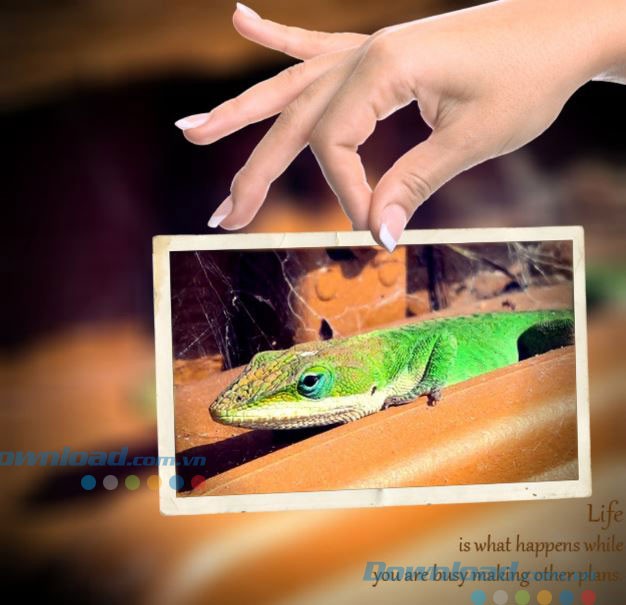 Thêm khung hình cho ảnh