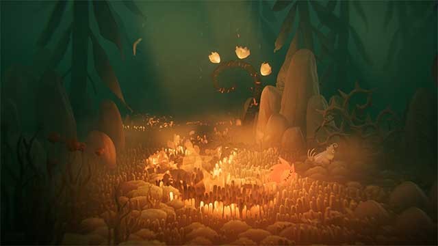 Trong khu rừng này, lửa là yếu tố thân thiện mà hệ thực vật và động vật mong đợi