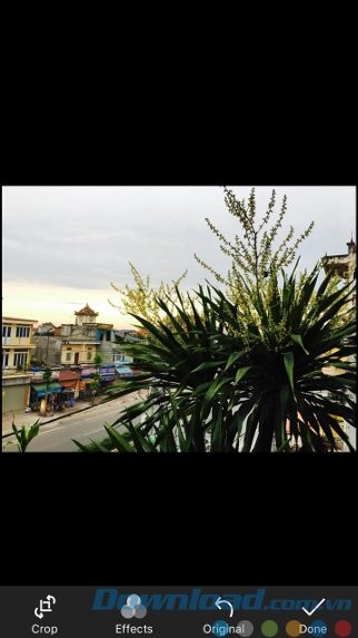 Giao diện đơn giản