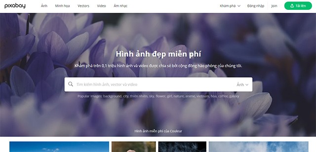 Pixabay là giải pháp tìm kiếm hình ảnh chất lượng cao có bản quyền và miễn phí