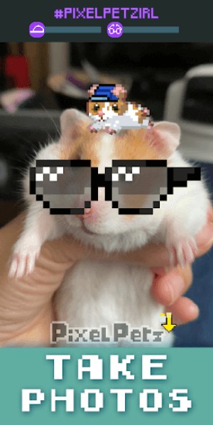 Chụp ảnh thú cưng