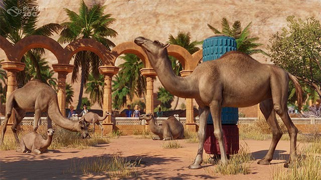 Planet Zoo - Arid Animal Pack update bổ sung 8 động vật mới, chế độ tùy chỉnh màu sắc và máy ảnh mới