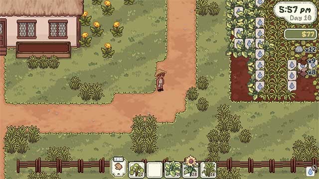 Mở rộng không gian, trang trí và phát triển khi đất