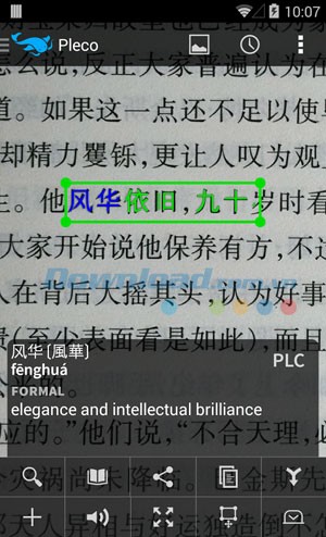 Pleco Chinese Dictionary