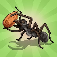 Pocket Ants cho Android: Xây dựng tổ kiến chiến lược