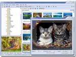 FastStone Image Viewer 7.5: Phần mềm xem và chỉnh sửa ảnh miễn phí