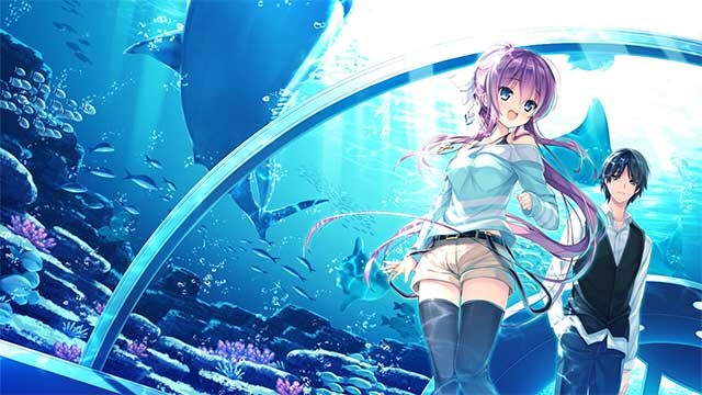 Kazuma sẽ tương tác với nhiều cô gái thuộc cả hai hội đồng