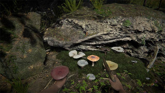 Primal Man Simulator là game sinh tồn thời tiền sử với lối chơi mô phỏng kết hợp phiêu lưu