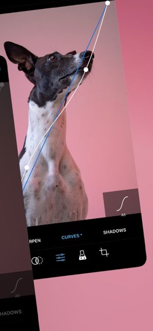 Pro Camera tích hợp nhiều công nghệ xử lý ảnh mới