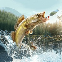 Professional Fishing 2 - Trải nghiệm câu cá thư giãn