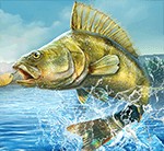 Professional Fishing - Game câu cá chuyên nghiệp trên PC