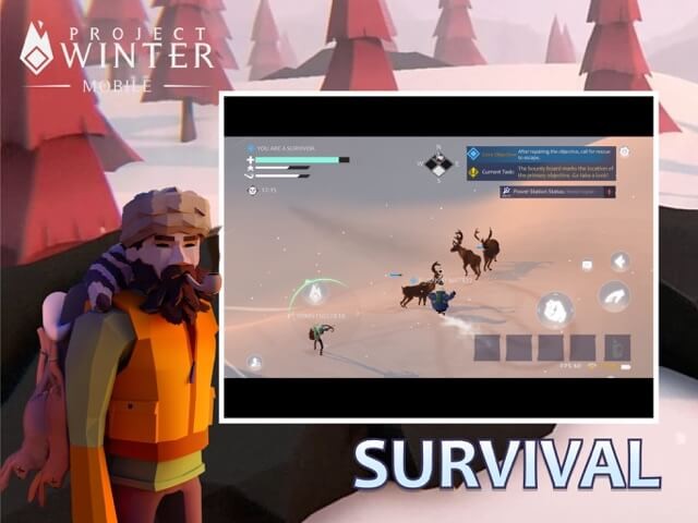 Cố gắng sinh tồn trong điều kiện thời tiết khắc nghiệt