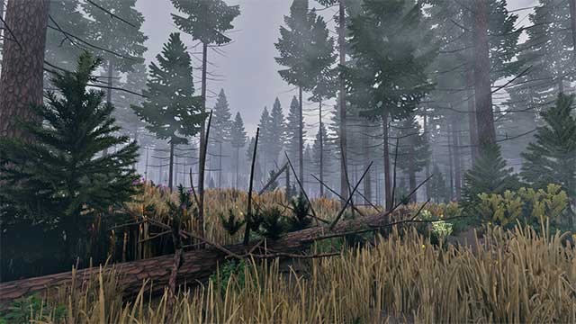 Trò chơi này đòi hỏi người chơi phải vượt qua giới hạn bản thân