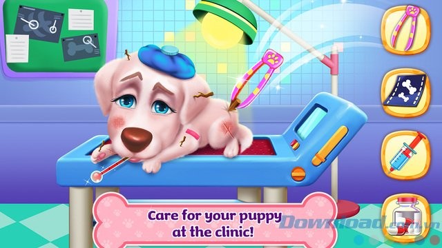 Chữa bệnh cho cún