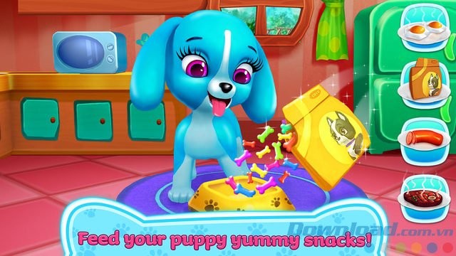 Chăm sóc pet mỗi ngày