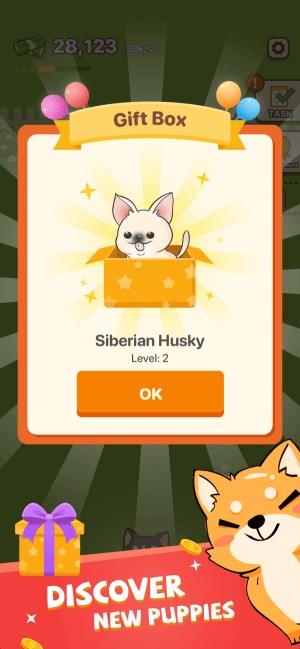 Khám phá loài chó mới