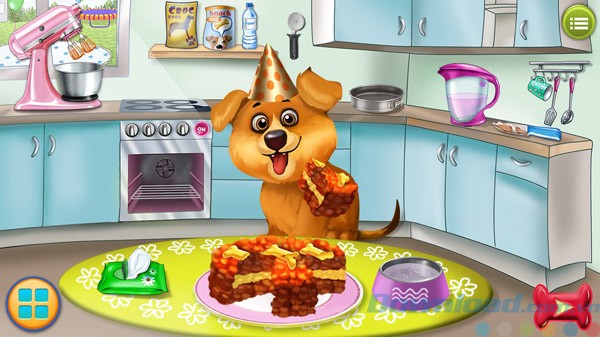 Tạo bữa ăn cho cún