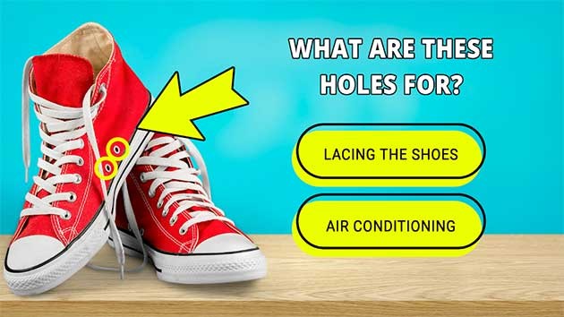 QuizzLand cho Android là game đố vui về nhiều lĩnh vực trong đời sống