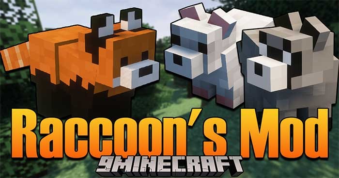 Raccoon's Mod 1.16.5 sẽ bổ sung vào thế giới Minecraft loài gấu mèo đáng yêu