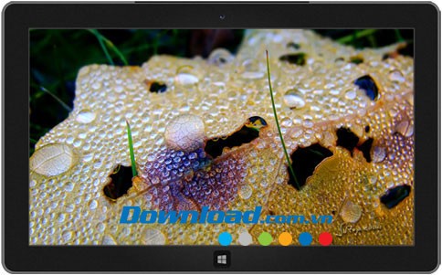 Raindrops and Dew theme