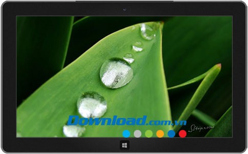 Raindrops and Dew theme