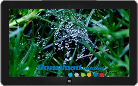 Raindrops and Dew theme