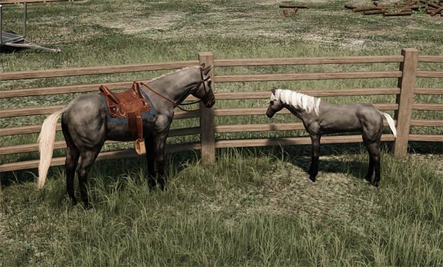 Lai tạo ngựa đực và ngựa cái để tạo ra ngựa con có đầy đủ các đặc điểm, chỉ số của bố mẹ