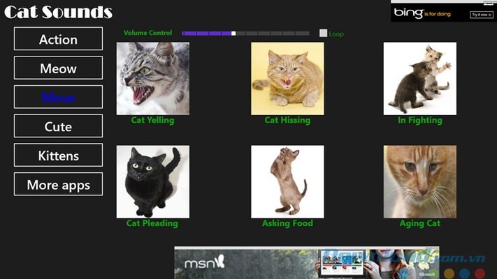 Kèm theo hình ảnh mèo