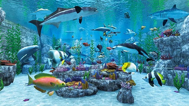 Game Real VR Fishing tích hợp bể cá cảnh ảo để người chơi thư giãn