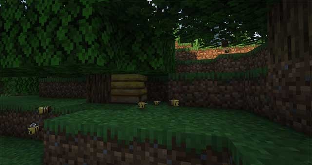 Giờ đây bạn có thể thu hoạch, lấy mật, cũng như chăm sóc ong để thu lợi nhuận