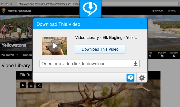 Tải video trên web