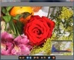 ReaViewer - Free Image Viewer