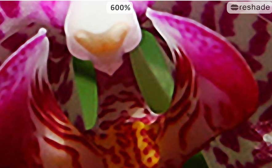 Dùng Reshade phóng to ảnh