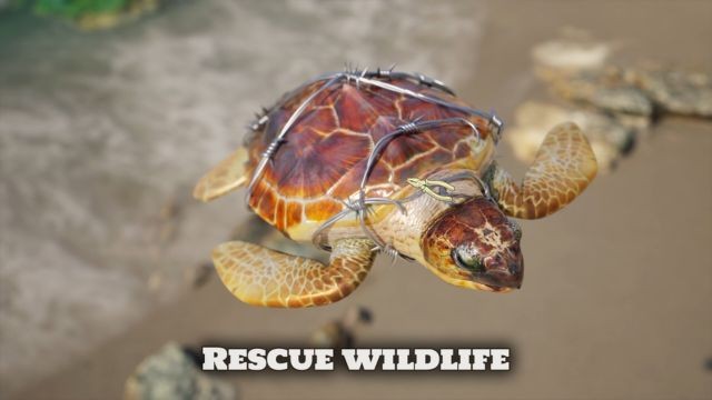 Giải cứu sinh vật biển và động vật hoang dã
