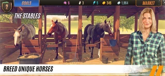 Lai tạo giống để có được những chú ngựa hoàn hảo cho cuộc đua