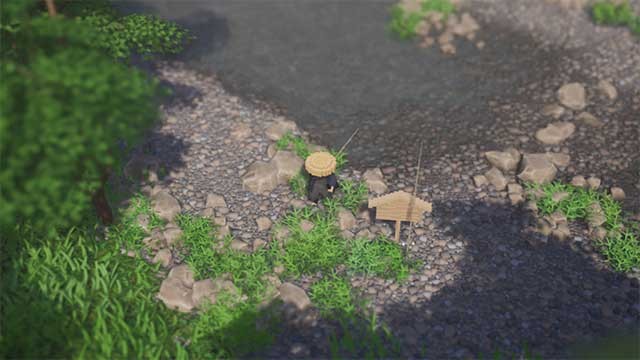 Câu cá, bắt côn trùng, săn bắt động vật và tìm kiếm nấm